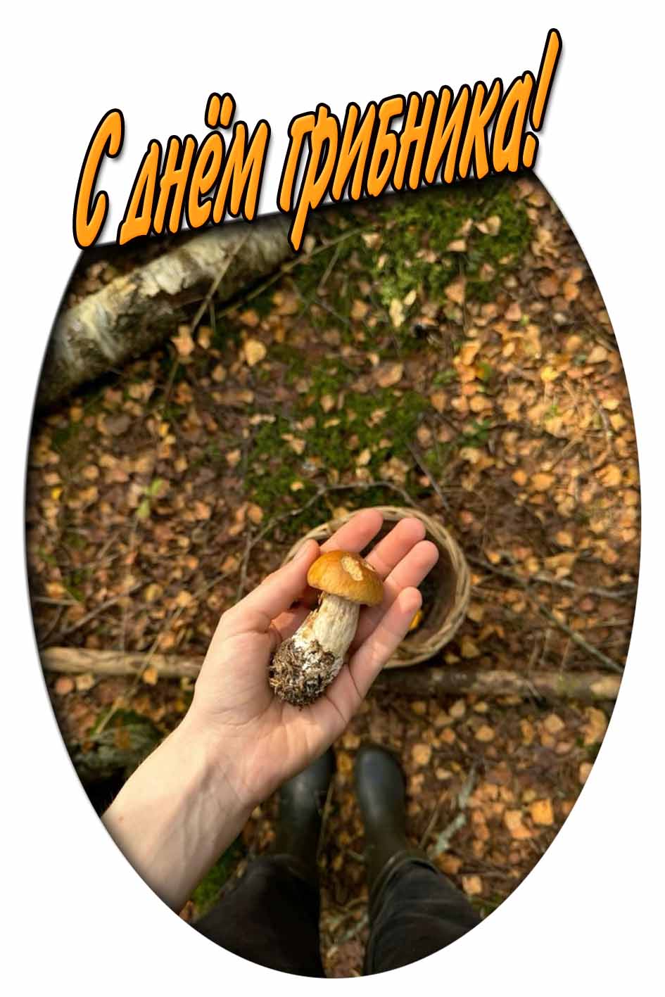 С днём грибника! - креативная открытка
