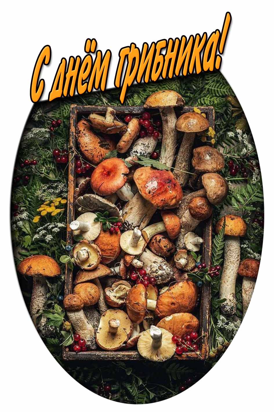 Открытка с днём грибника