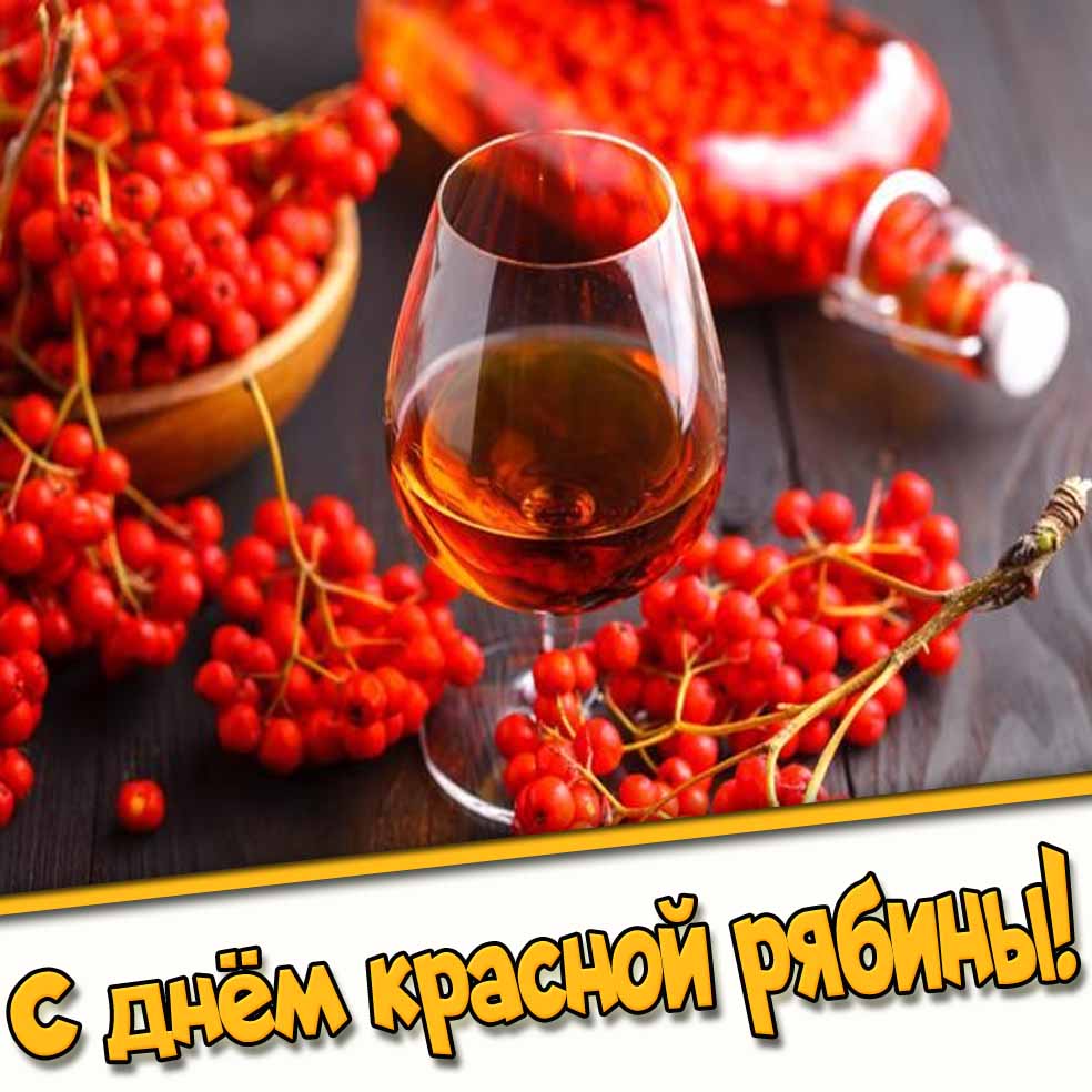 Прикольная картинка с днём красной рябины