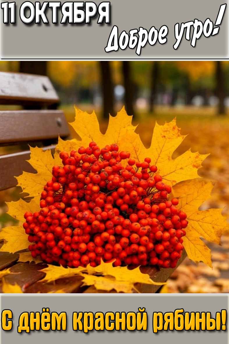 Красивая открытка с осенним букетом из листьев и ягод и с надписью : "11 октября доброе утро! С днём красной рябины!".