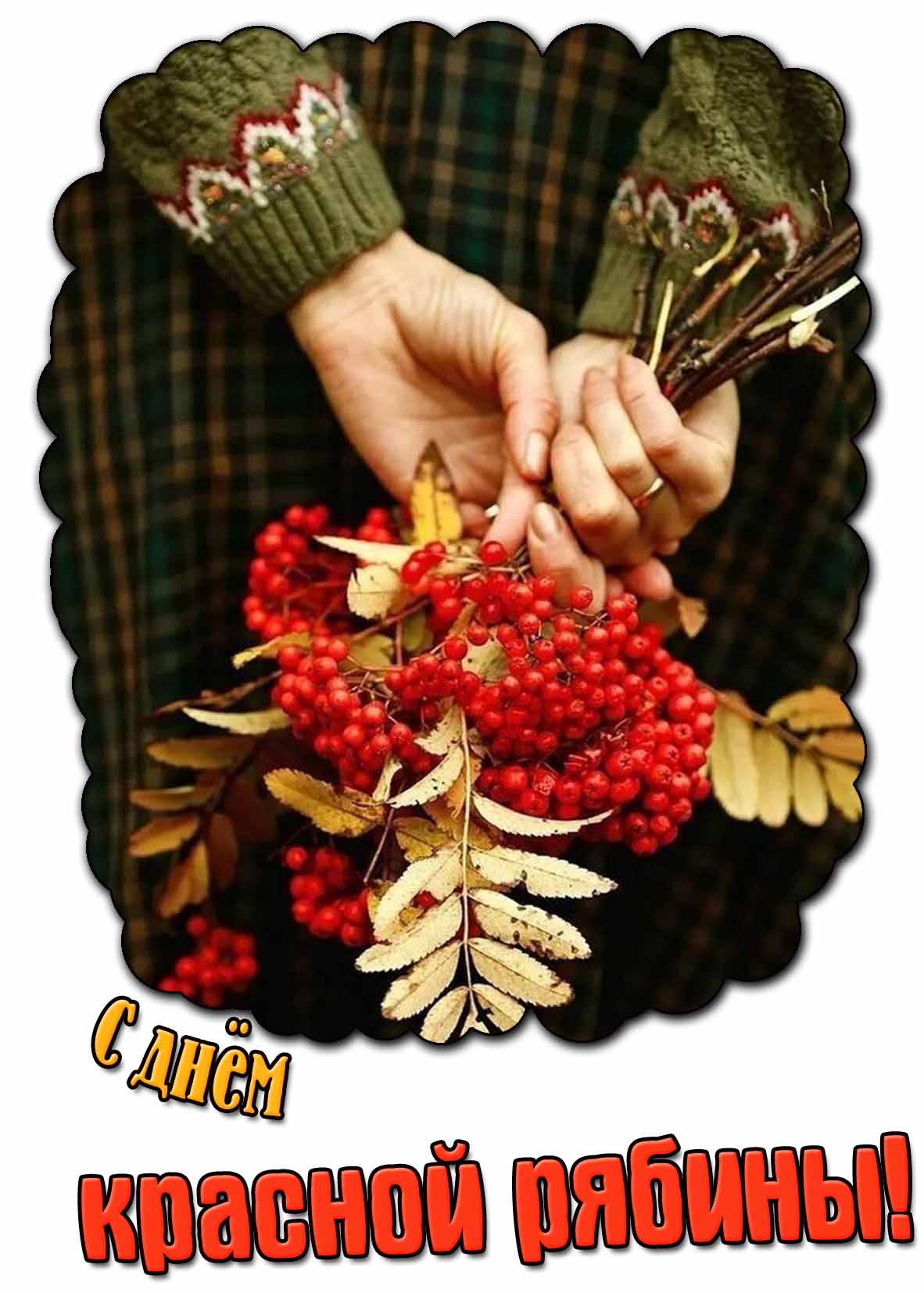Картинка с днём красной рябины