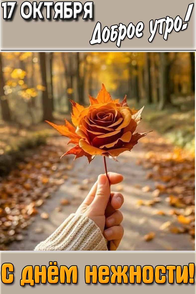 Красивая открытка с розой из осенний листьев в руке и надписью : "17 октября доброе утро! С днём нежности!".