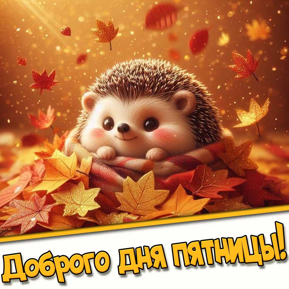 Доброго дня пятницы! - осенняя картинка