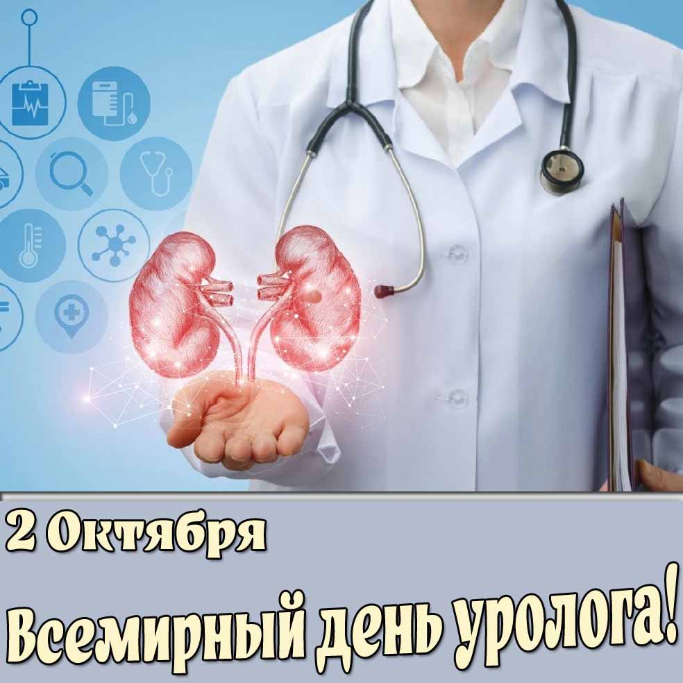 Картинка 2 октября Всемирный день уролога