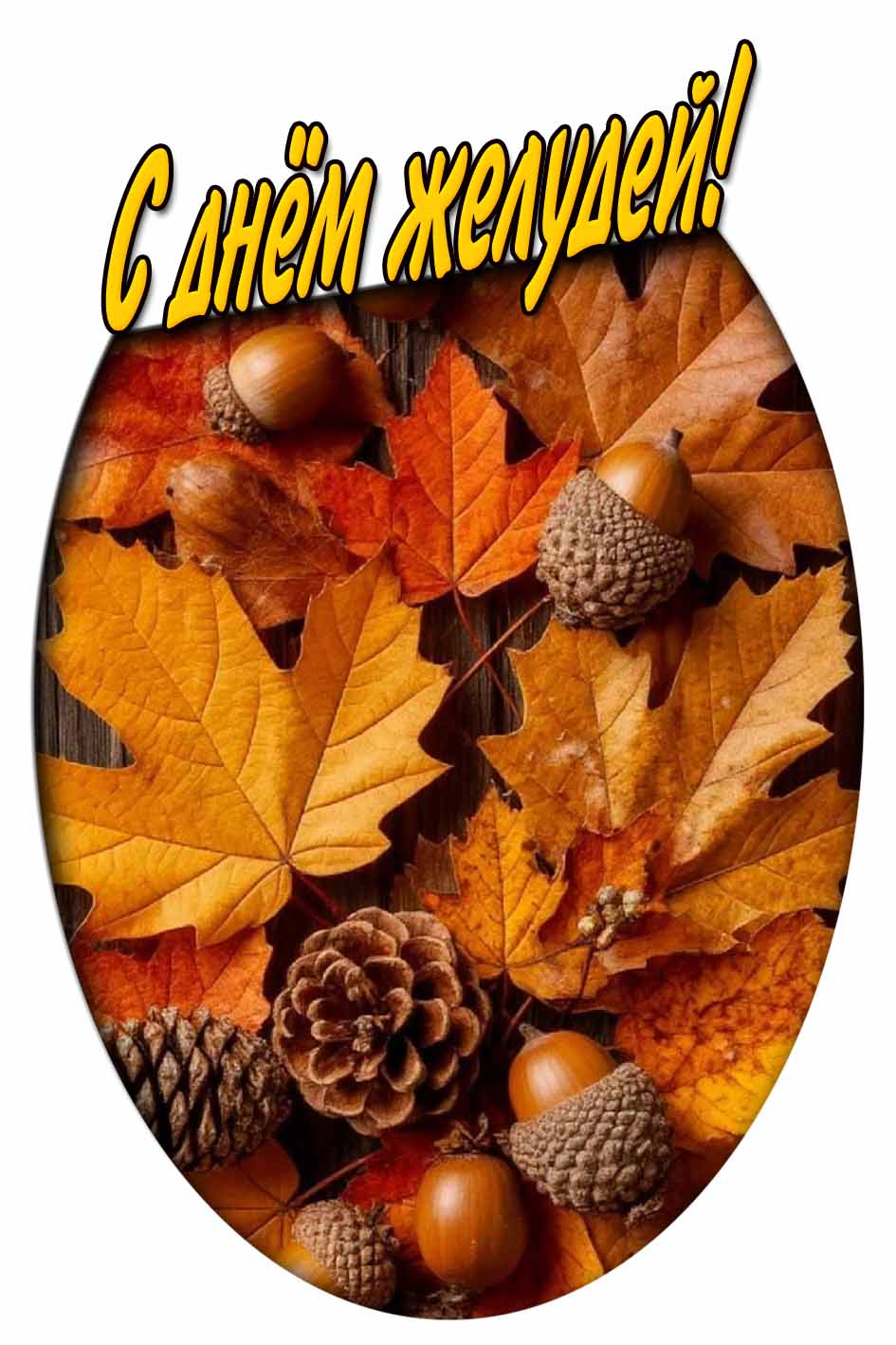 С днём желудей! - осенняя картинка