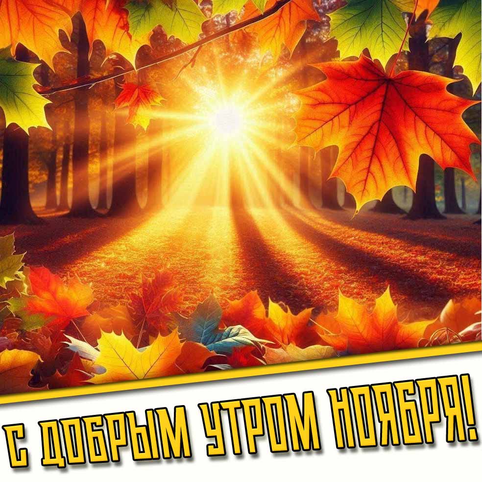 Солнечная открытка с добрым утром ноября