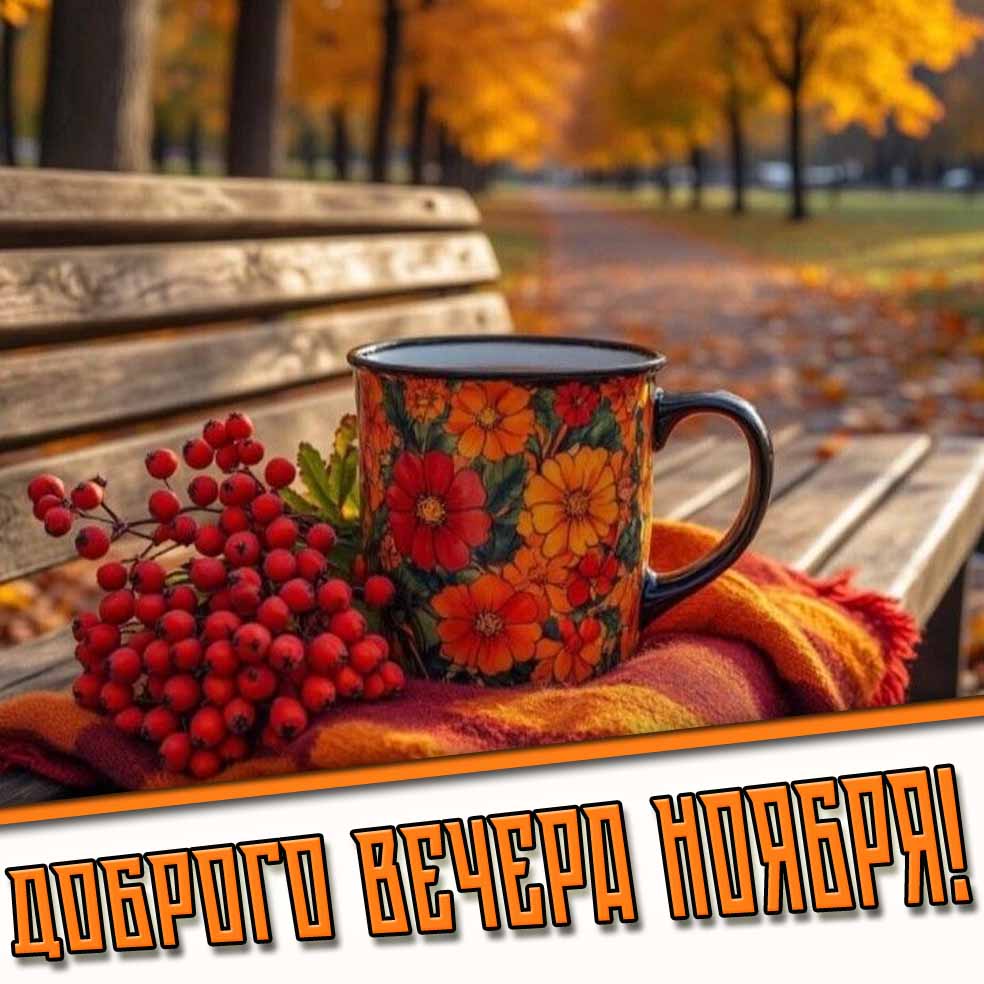 Картинка доброго вечера ноября