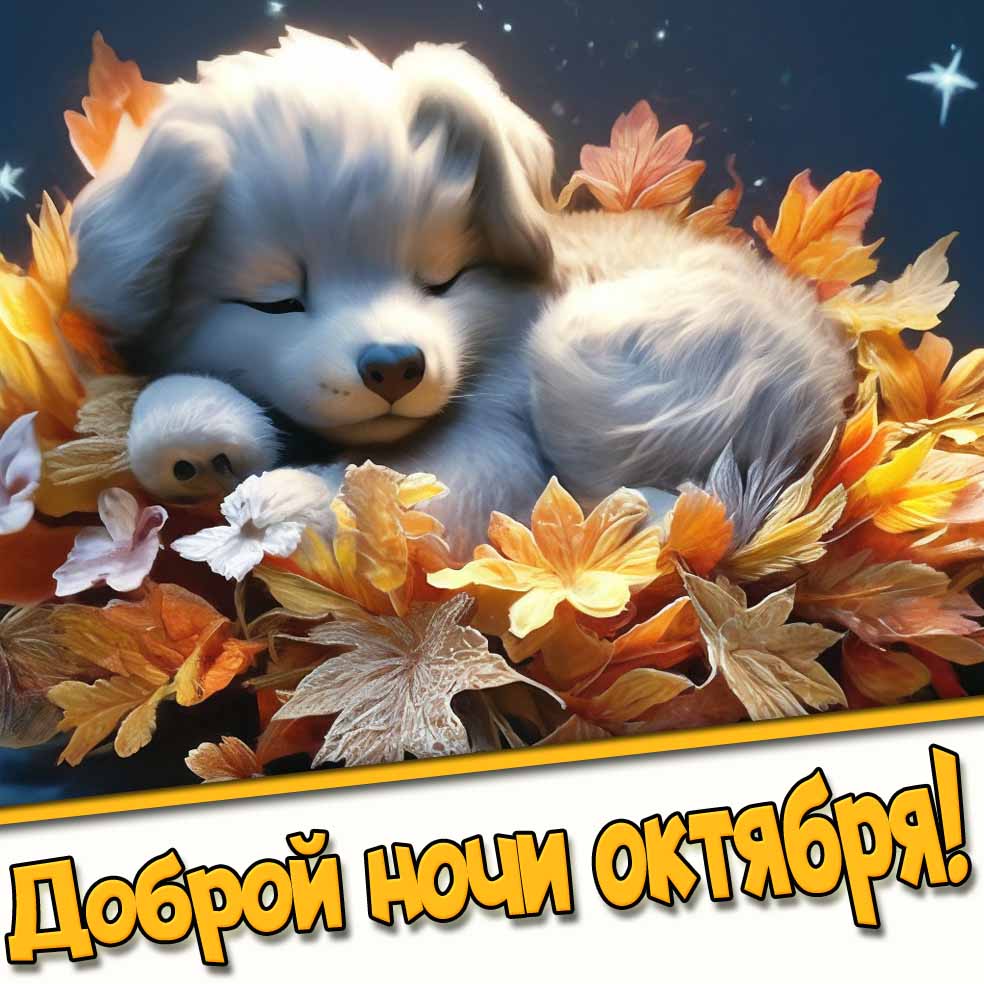 Милая картинка доброй ночи октября