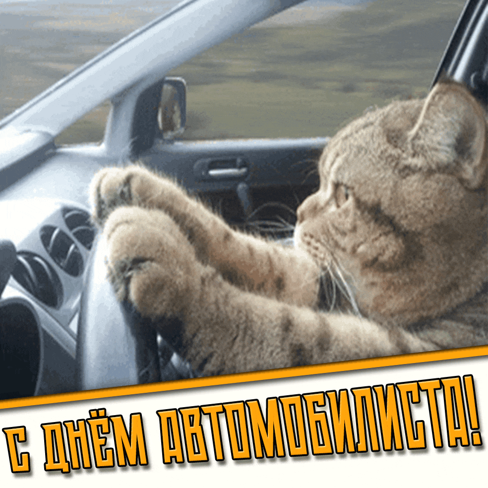 Прикольная гифка с днём автомобилиста