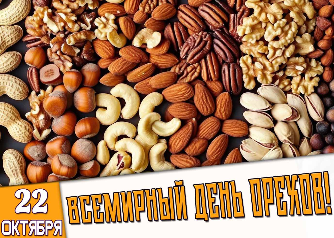 Картинка всемирный день орехов 22 октября
