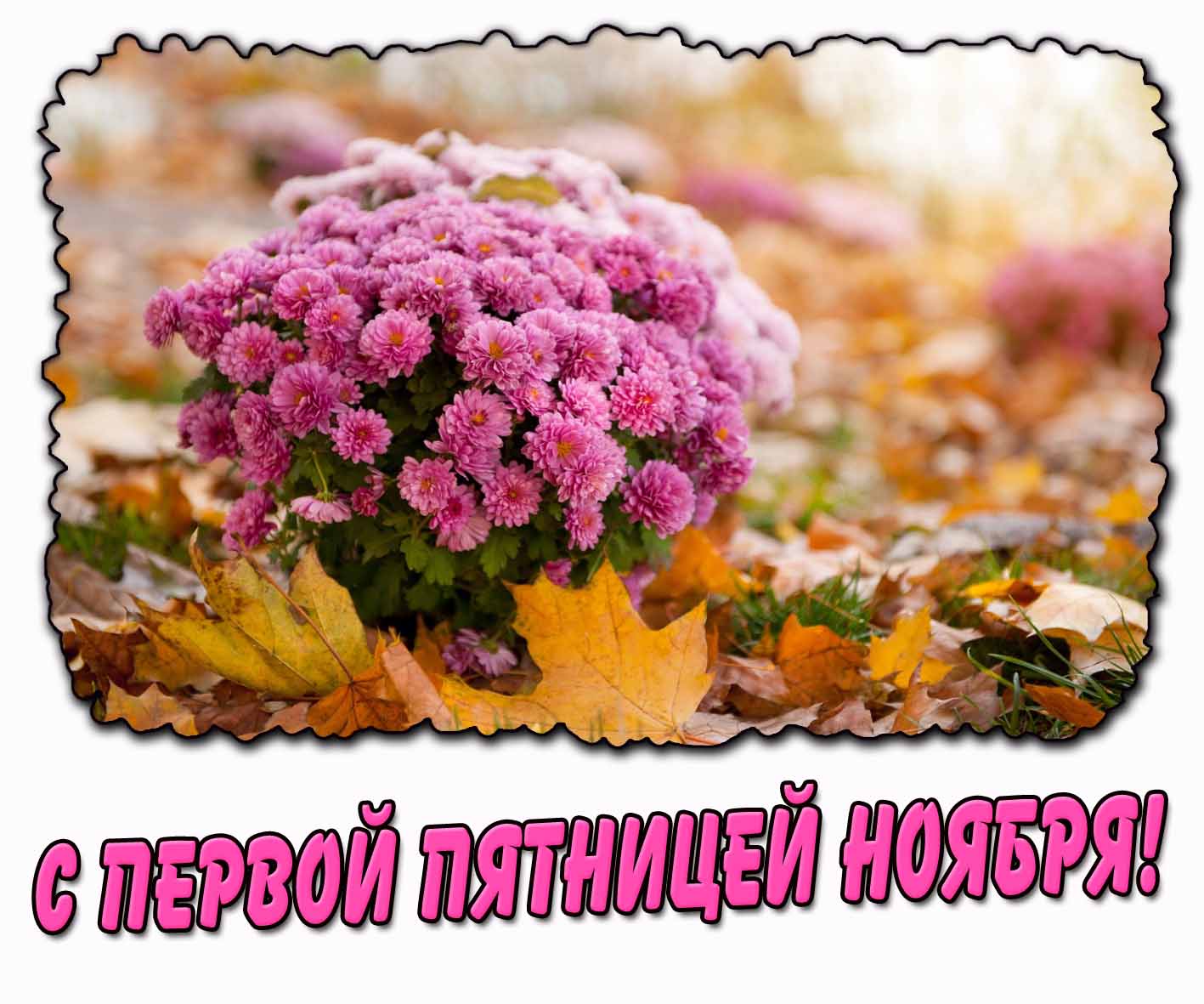 С первой пятницей ноября! - открытка с цветами