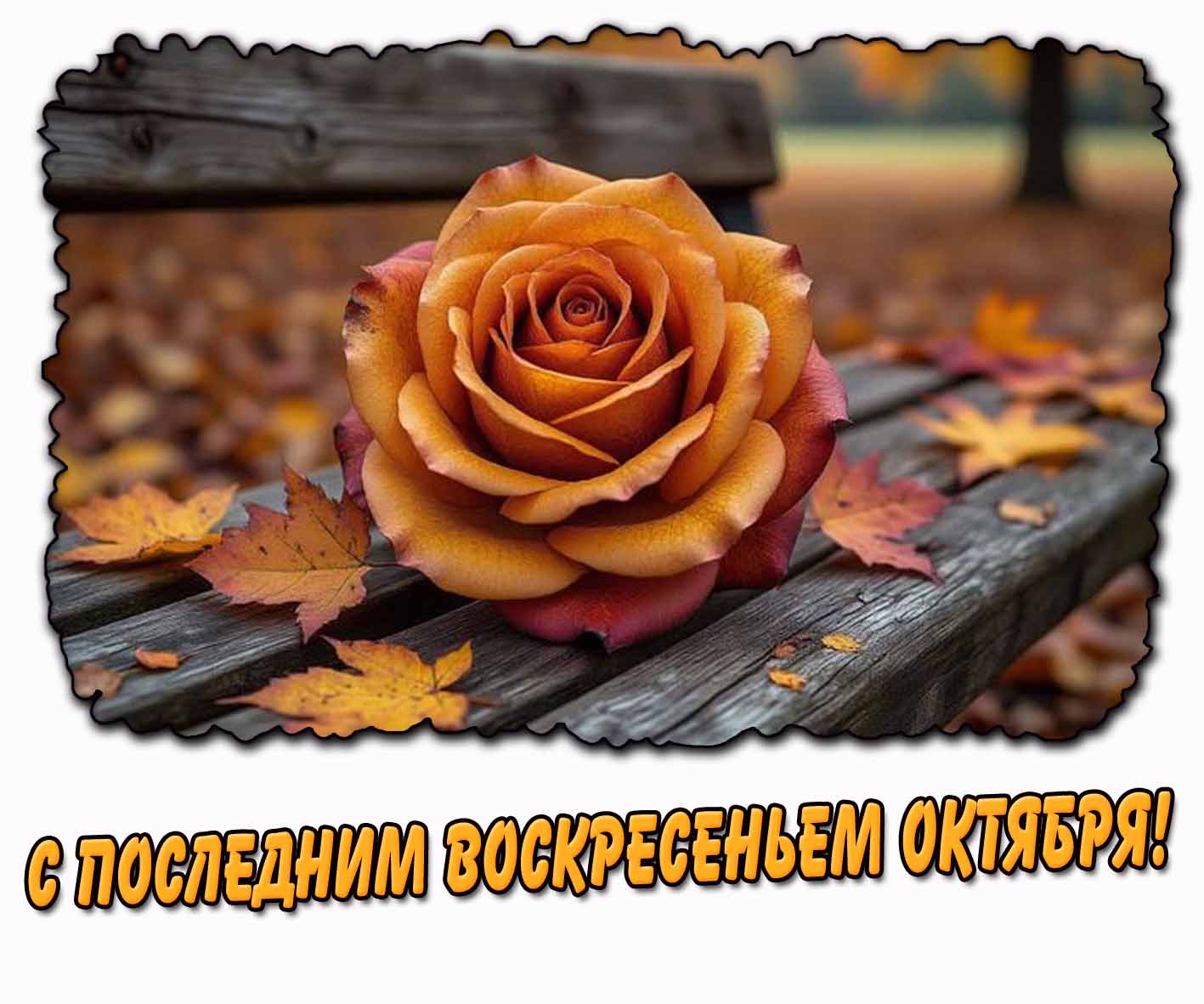 С последним воскресеньем октября! - креативная картинка с розой