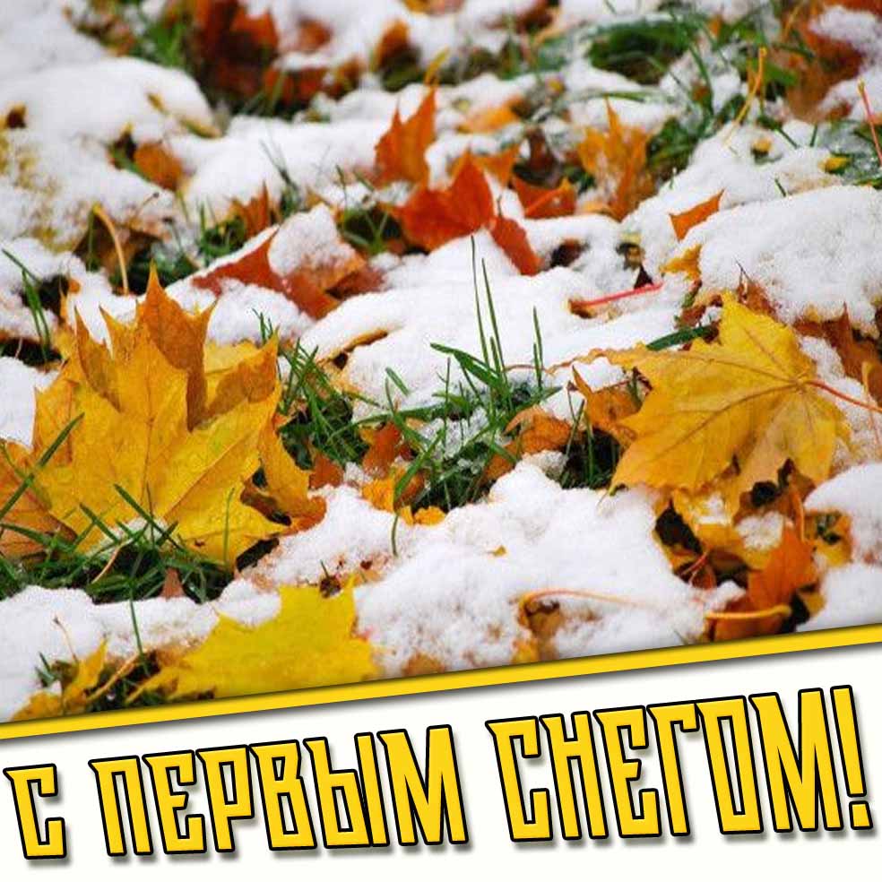 С первым снегом! - картинка с осенними листьями