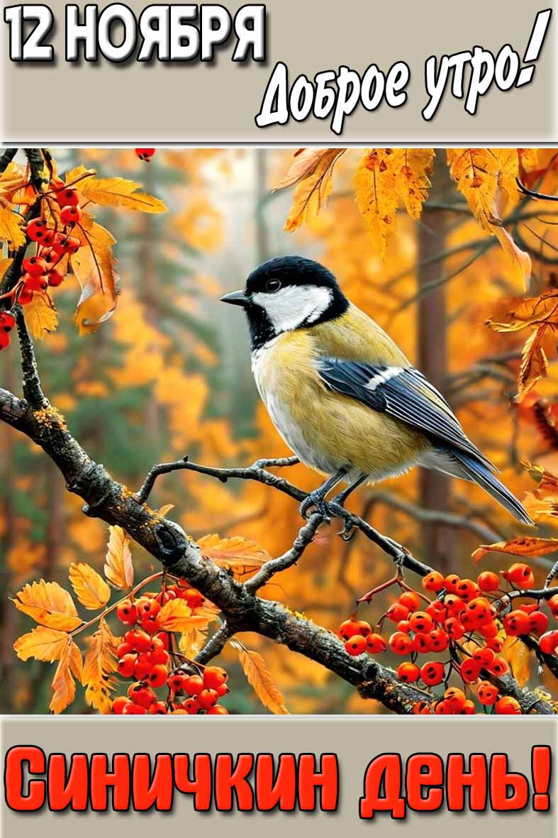 Открытка "12 ноября доброе утро! Синичкин день!"