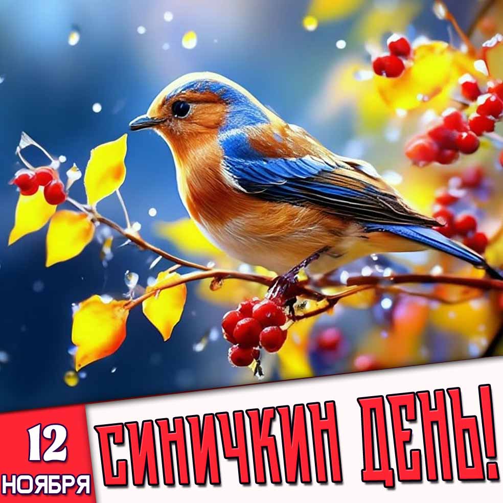 12 ноября - Синичкин день! - открытка