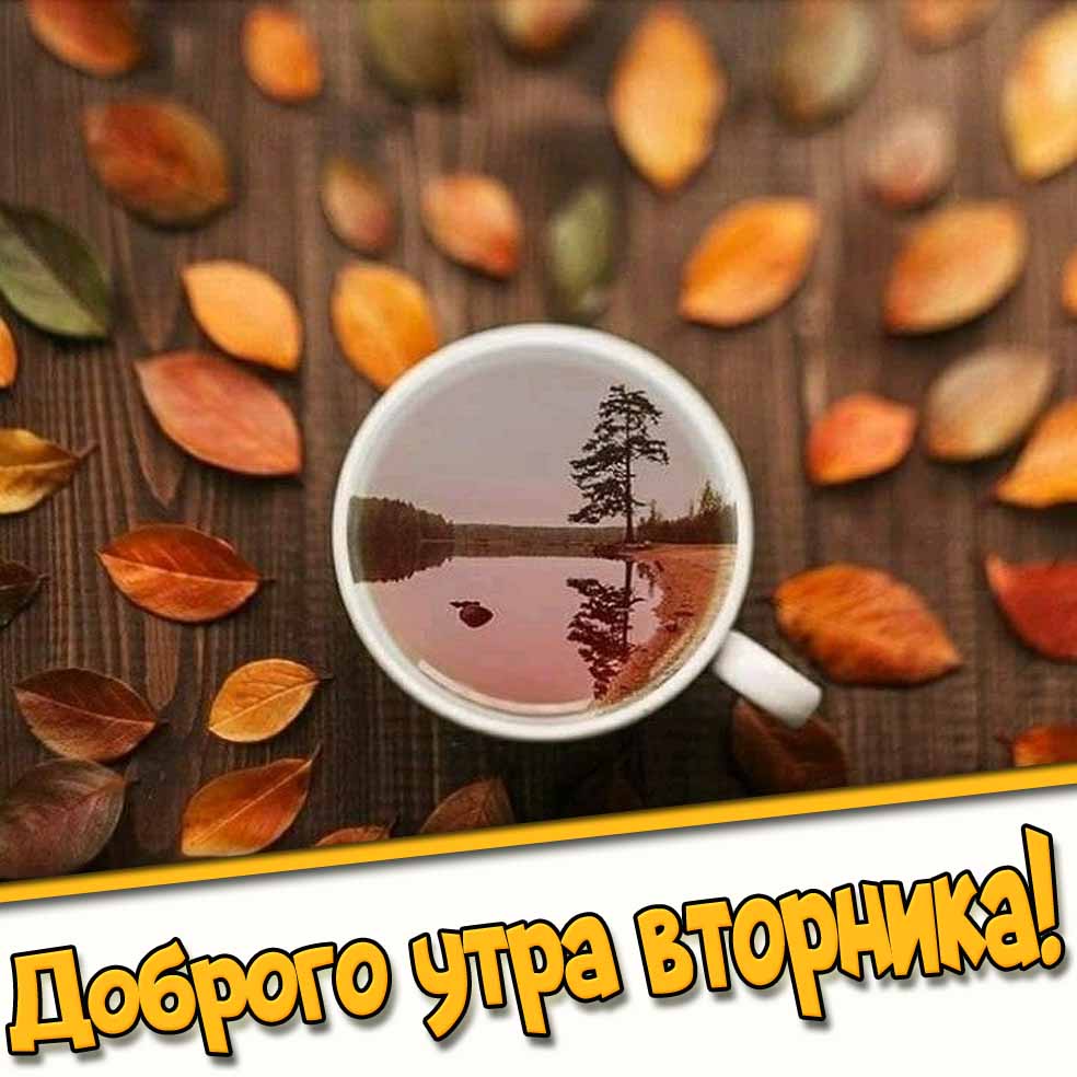 Доброго утра вторника! - креативная осенняя открытка