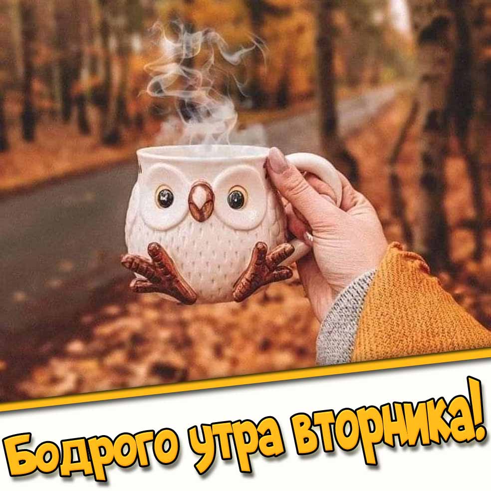 Бодрого утра вторника! - прикольная осенняя картинка