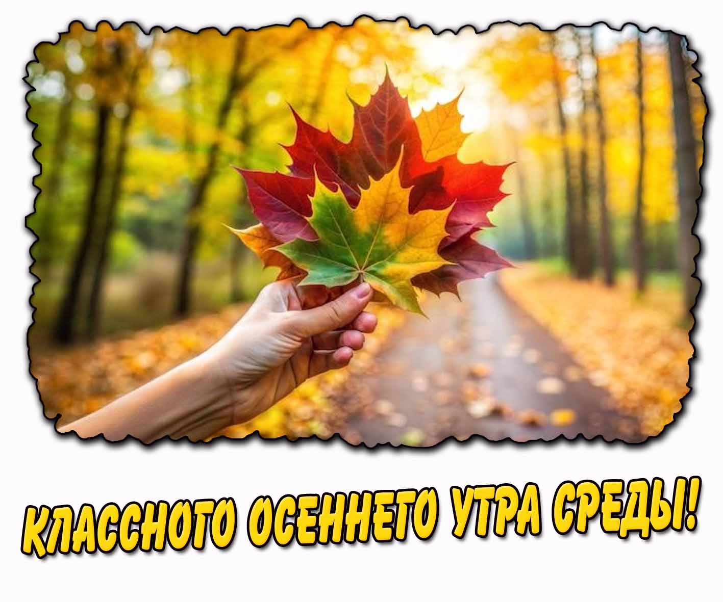 Открытка классного осеннего утра среды
