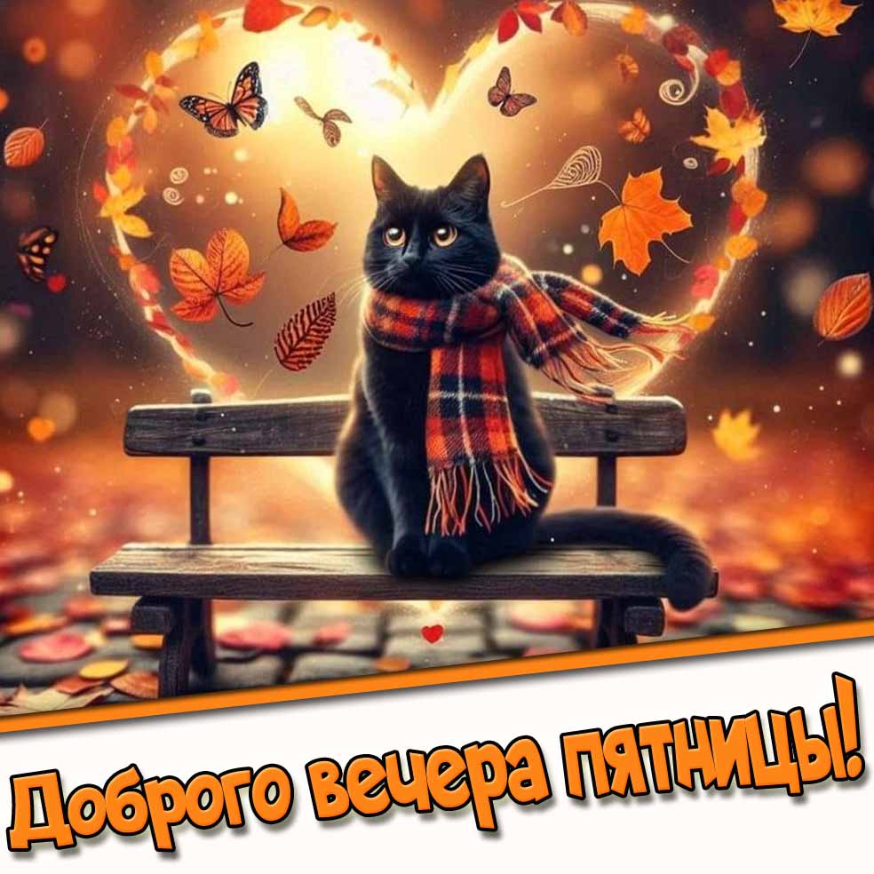 Доброго вечера пятницы! - осенняя картинка с котом