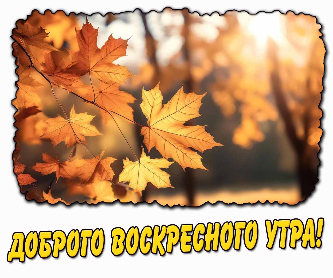 Доброго воскресного утра!