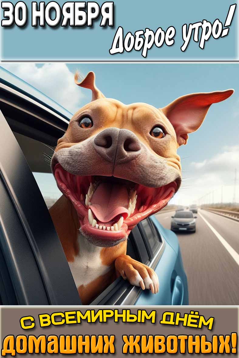 Картинка "30 ноября доброе утро! С Всемирным днём домашних животных!"