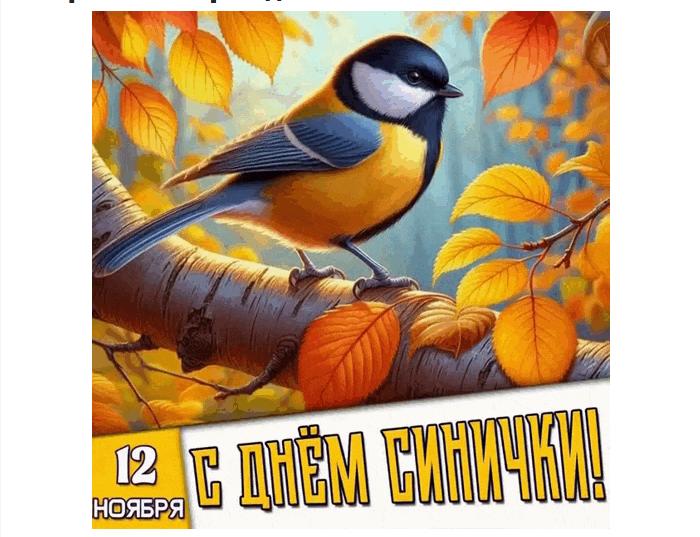 Гифка 12 ноября с днём синички
