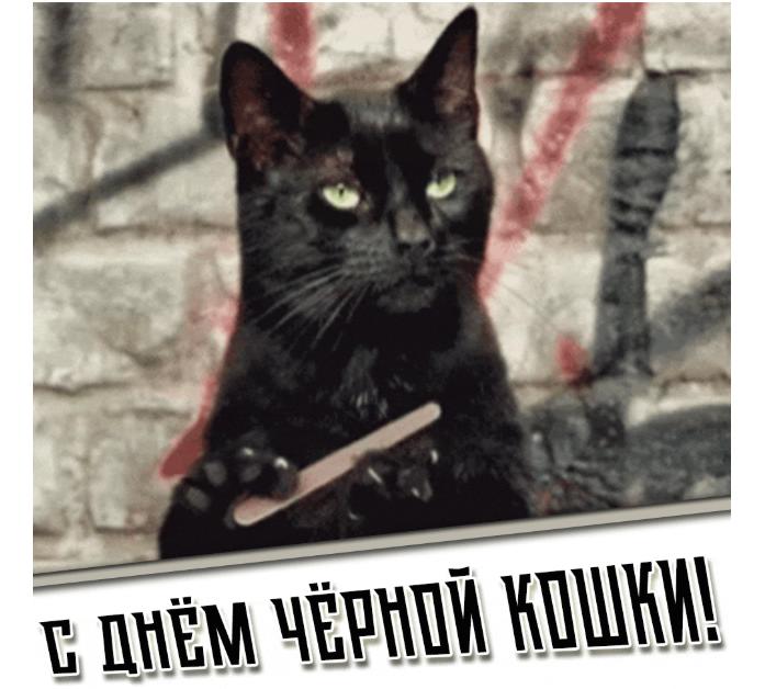 Прикольная гифка с днём чёрной кошки