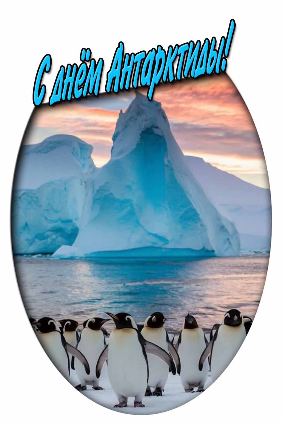 С днём Антарктиды! - картинка