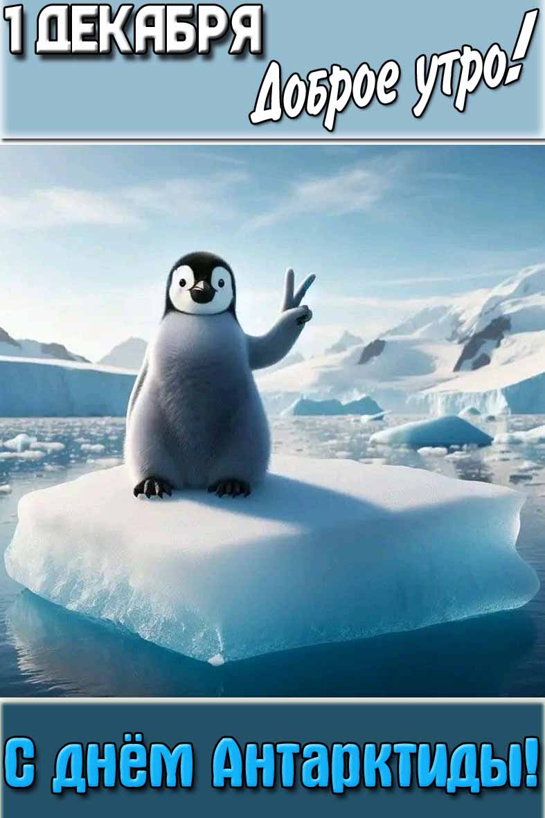 Открытка "1 декабря доброе утро! С днём Антарктиды!"