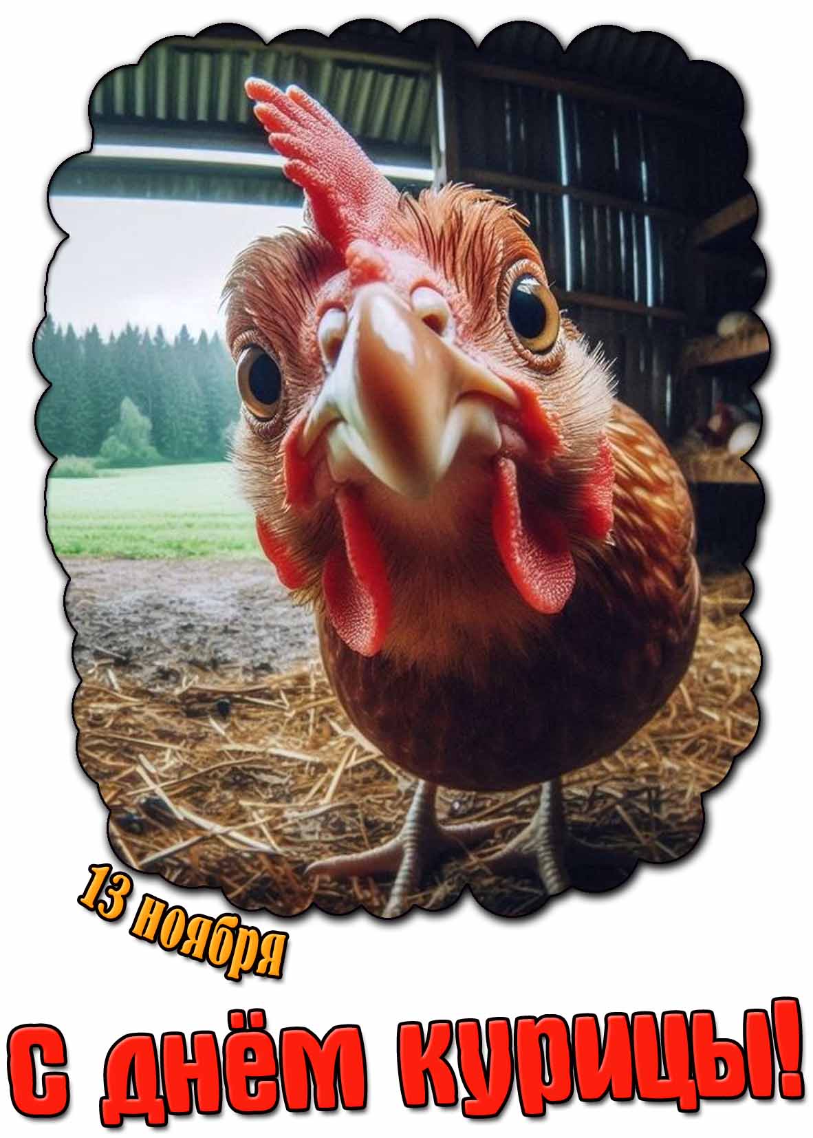 Прикольная открытка 13 ноября - с днём курицы!