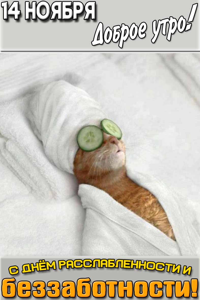 Картинка "14 ноября доброе утро! С днём расслабленности и беззаботности!"