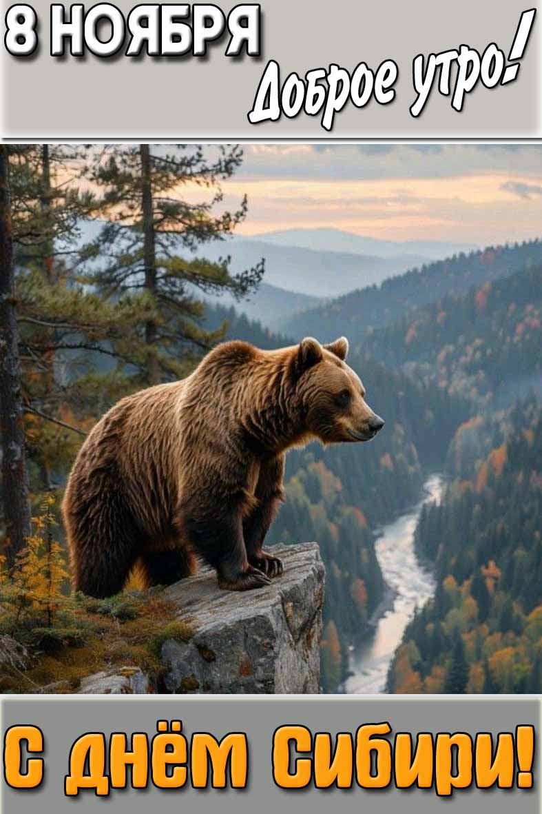 Картинка "8 ноября доброе утро! С днём Сибири!"