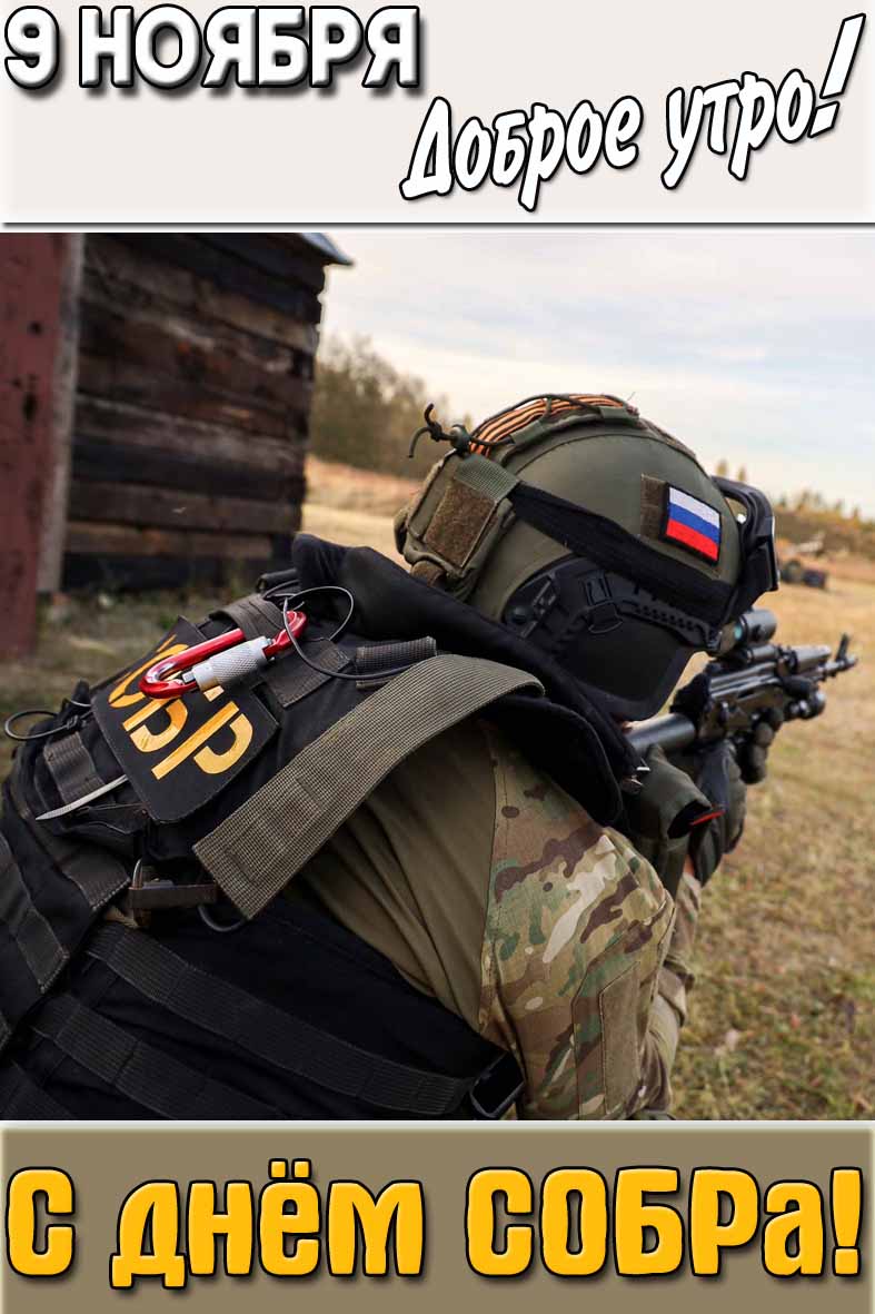 Картинка "9 ноября доброе утро! С днём СОБРа!"