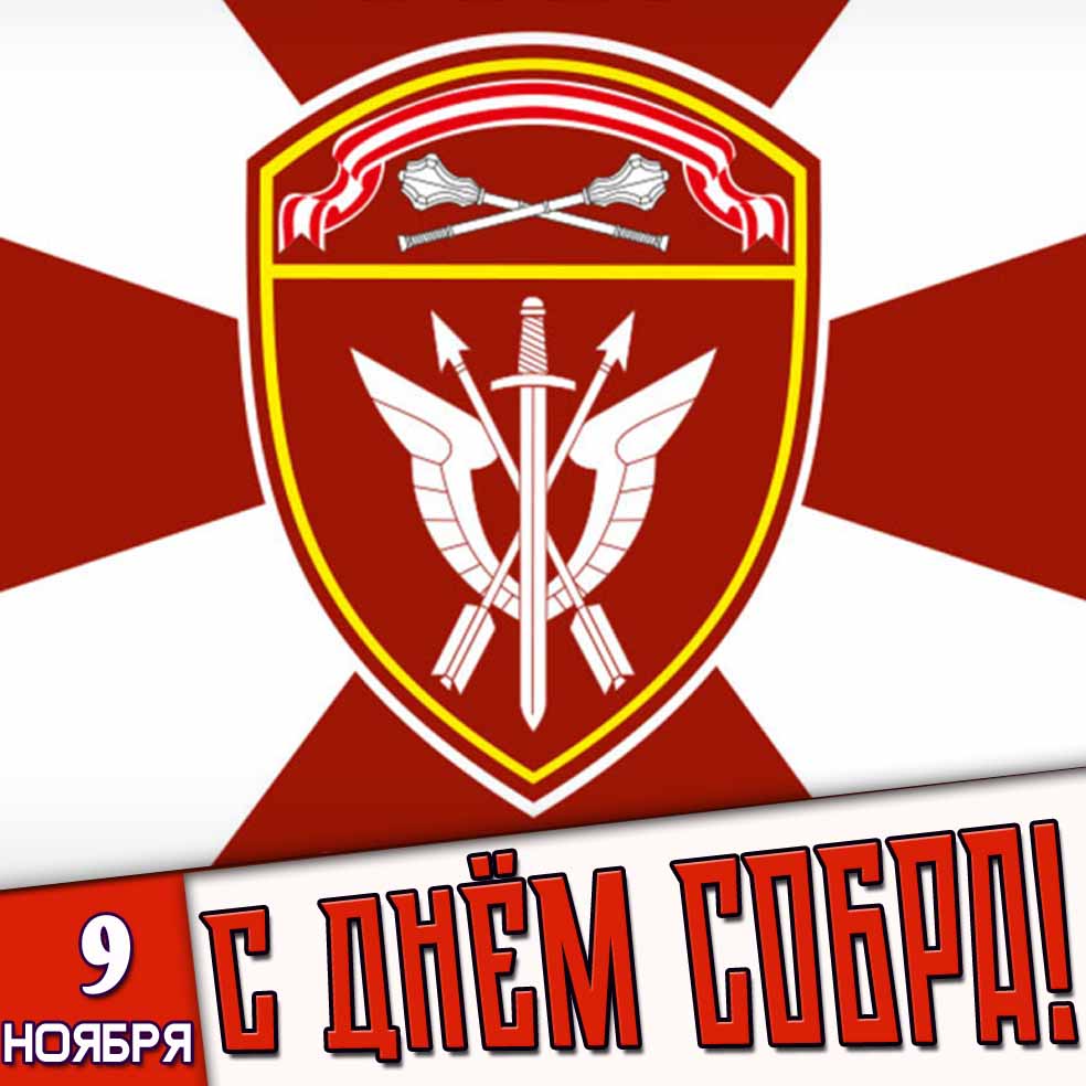 Открытка 9 ноября с днём СОБРа