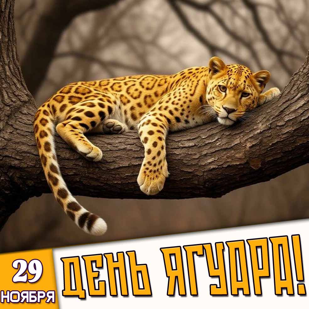 Открытка 29 ноября - день ягуара!