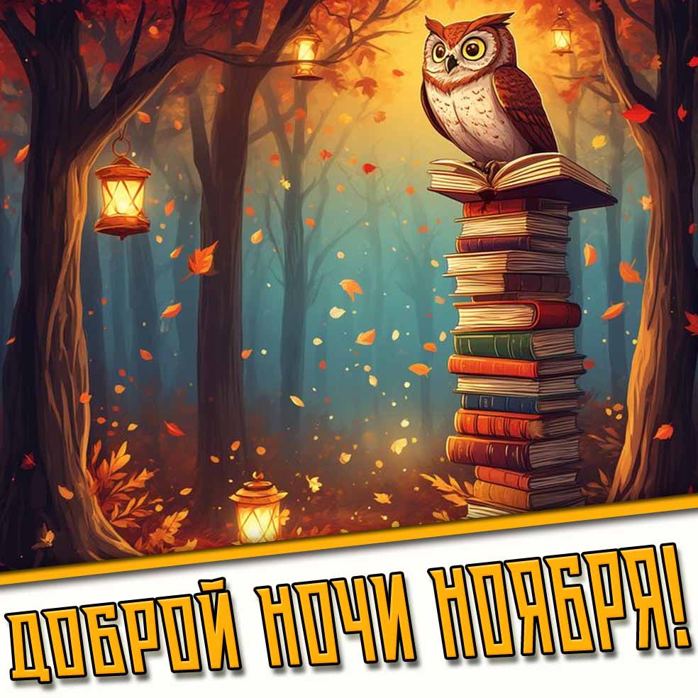 Доброй ночи ноября! - прикольная открытка с совой