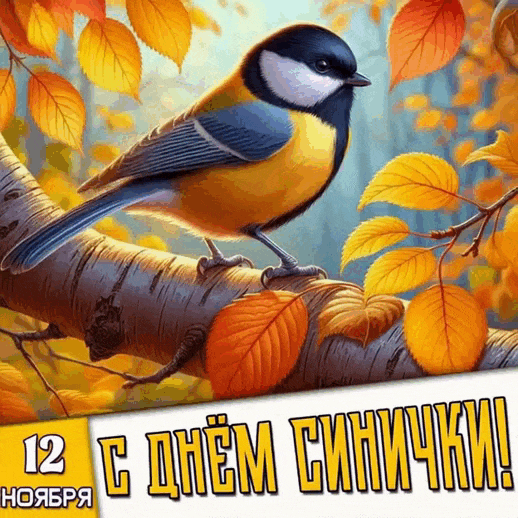 Гифка 12 ноября с днём синички