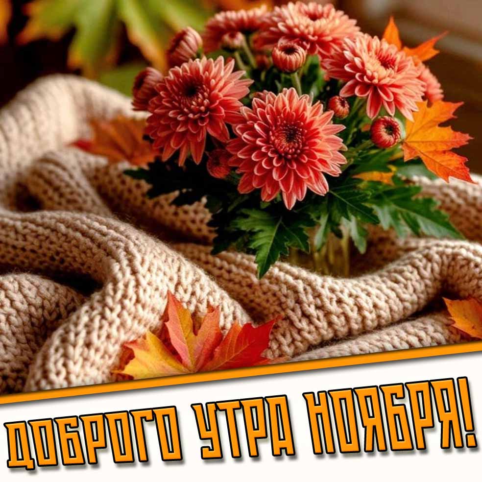 Доброго утра ноября! - картинка с цветами