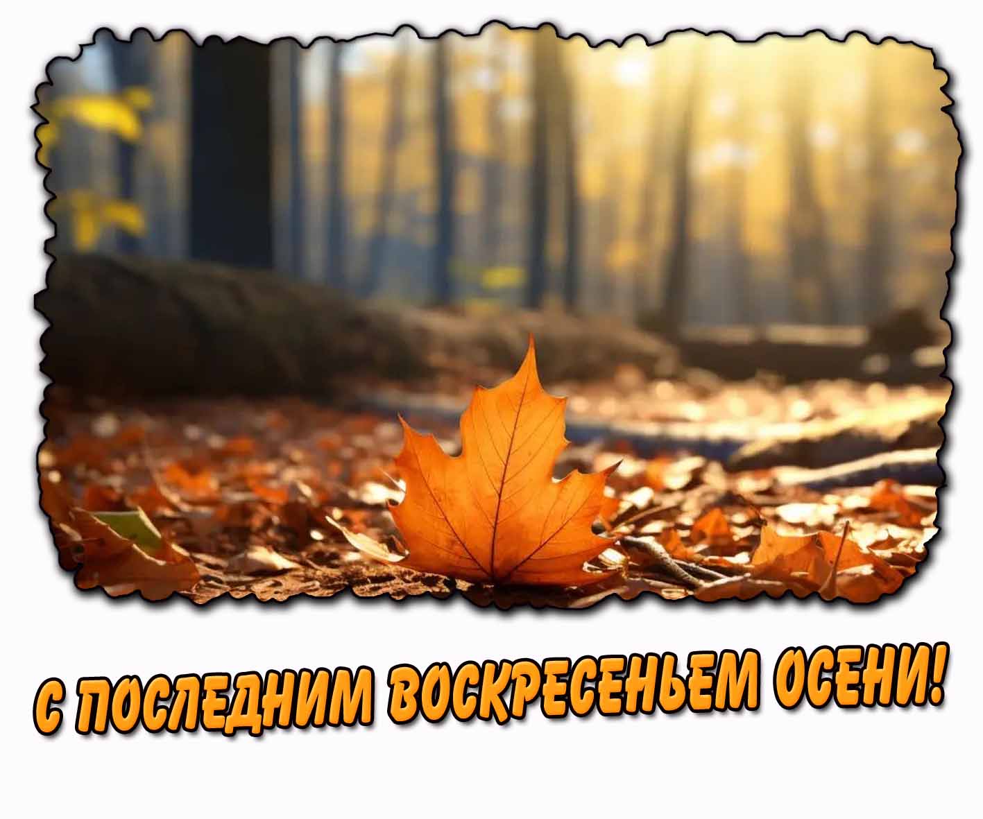 Картинка с последним воскресеньем осени