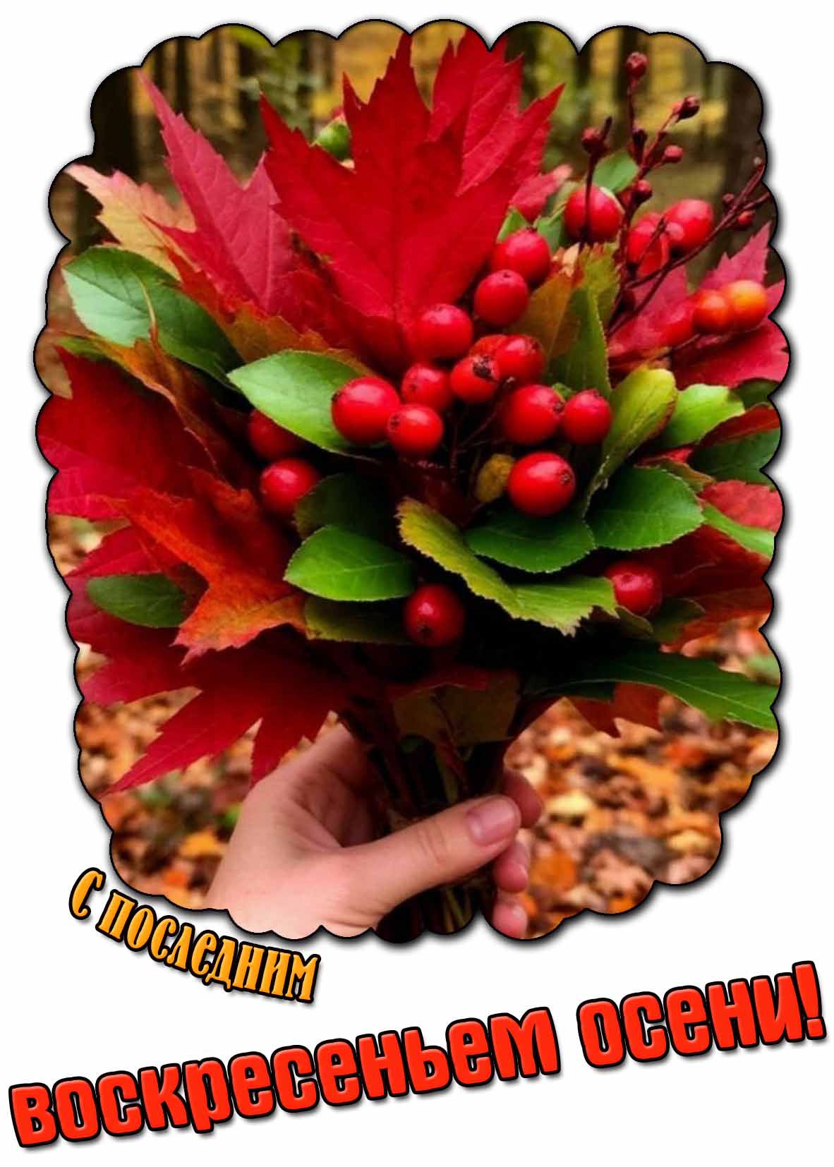 Красивая открытка с последним воскресеньем осени