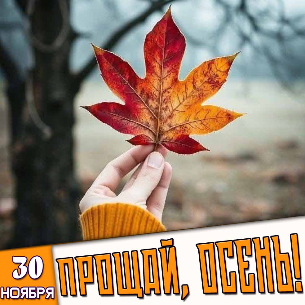 Открытка 30 ноября "Прощай, осень!"