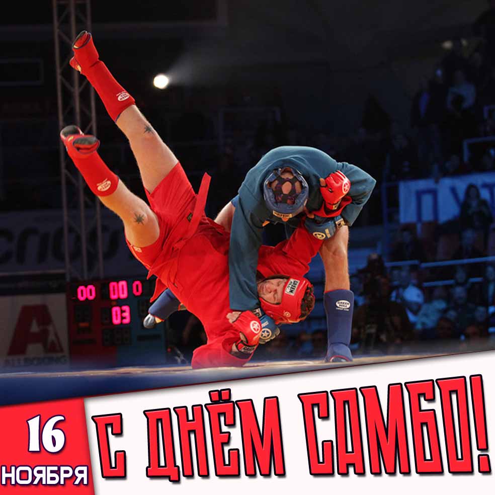 С днём самбо! - боевая картинка на 16 ноября