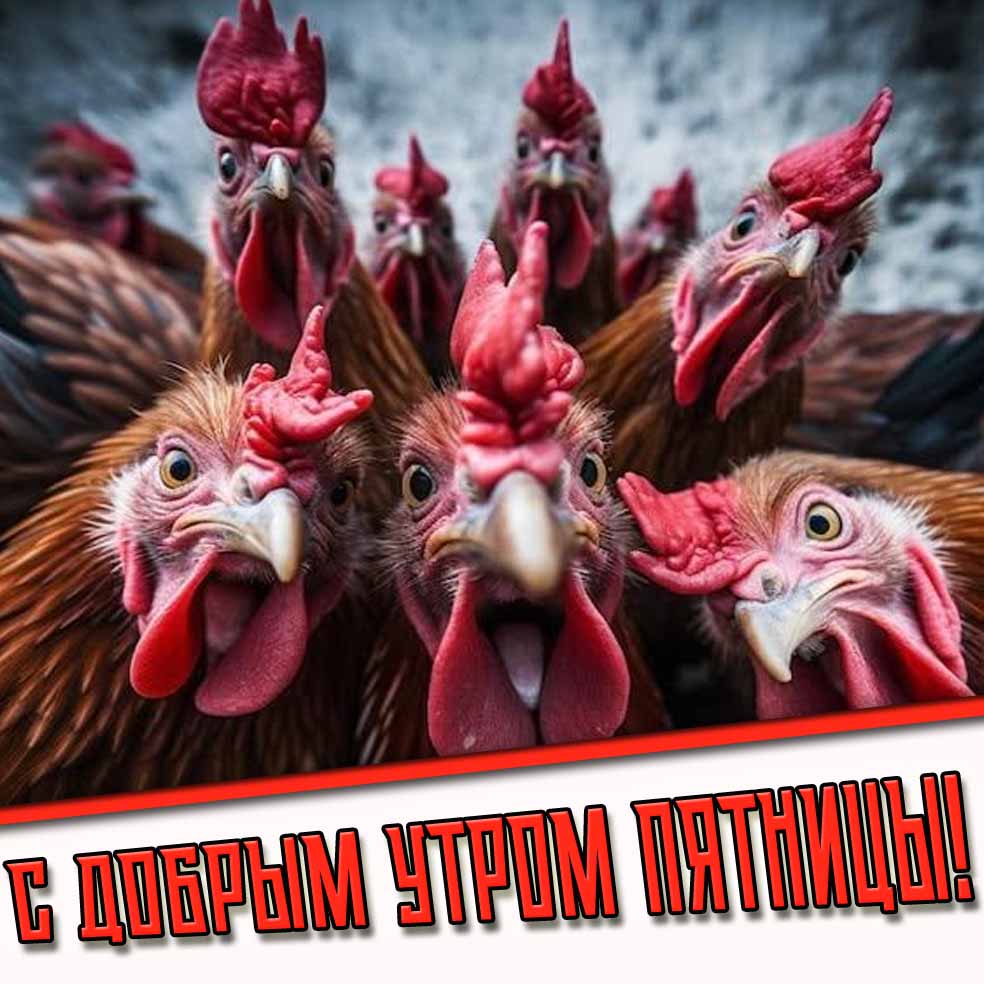 Смешная открытка с добрым утром пятницы