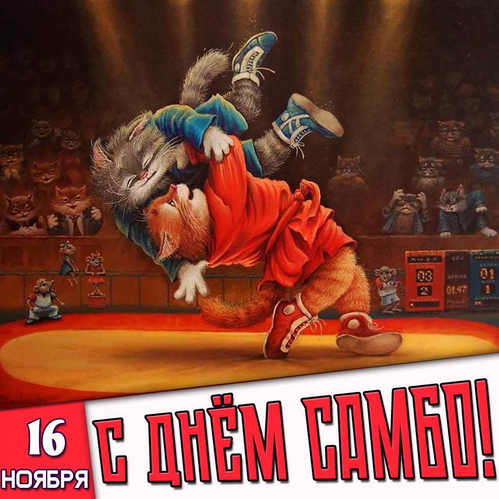 Прикольная открытка 16 ноября - с днём самбо