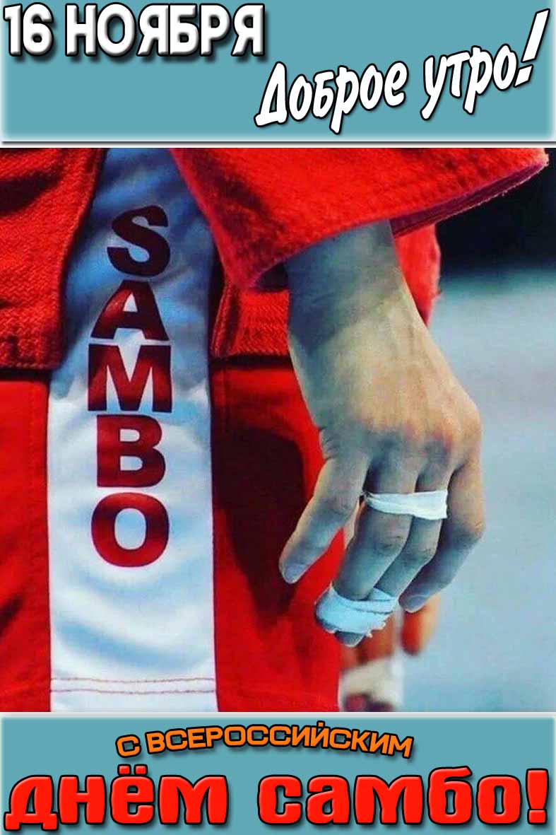 Картинка "16 ноября доброе утро! С Всероссийским днём самбо!"