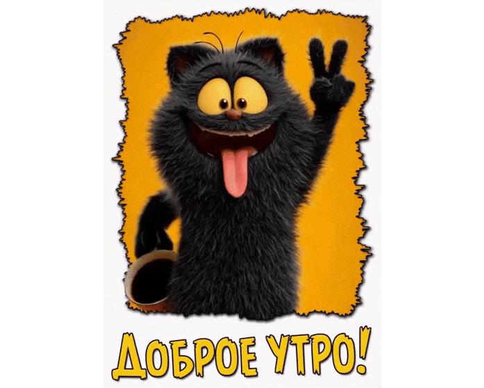 Позитивная gif картинка "Доброе утро!"