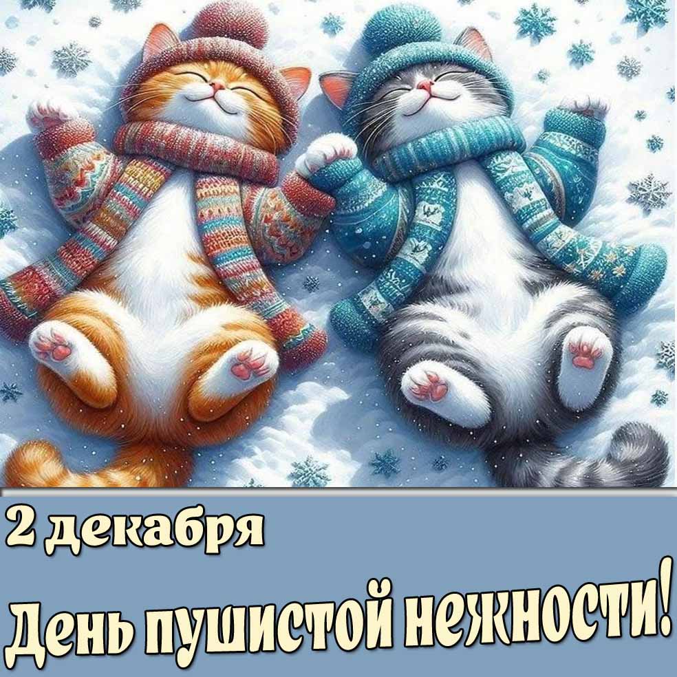 Картинка 2 декабря - день пушистой нежности