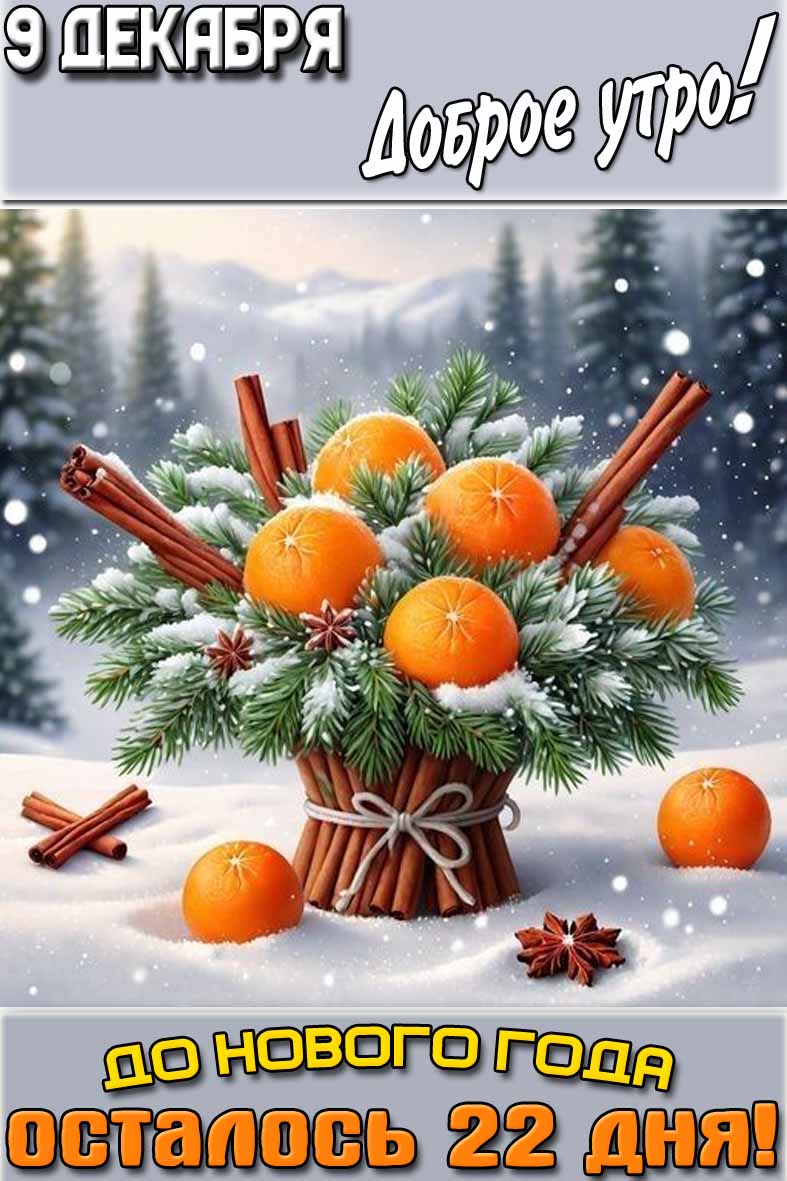 Открытка "9 декабря доброе утро! До Нового года осталось 22 дня!"