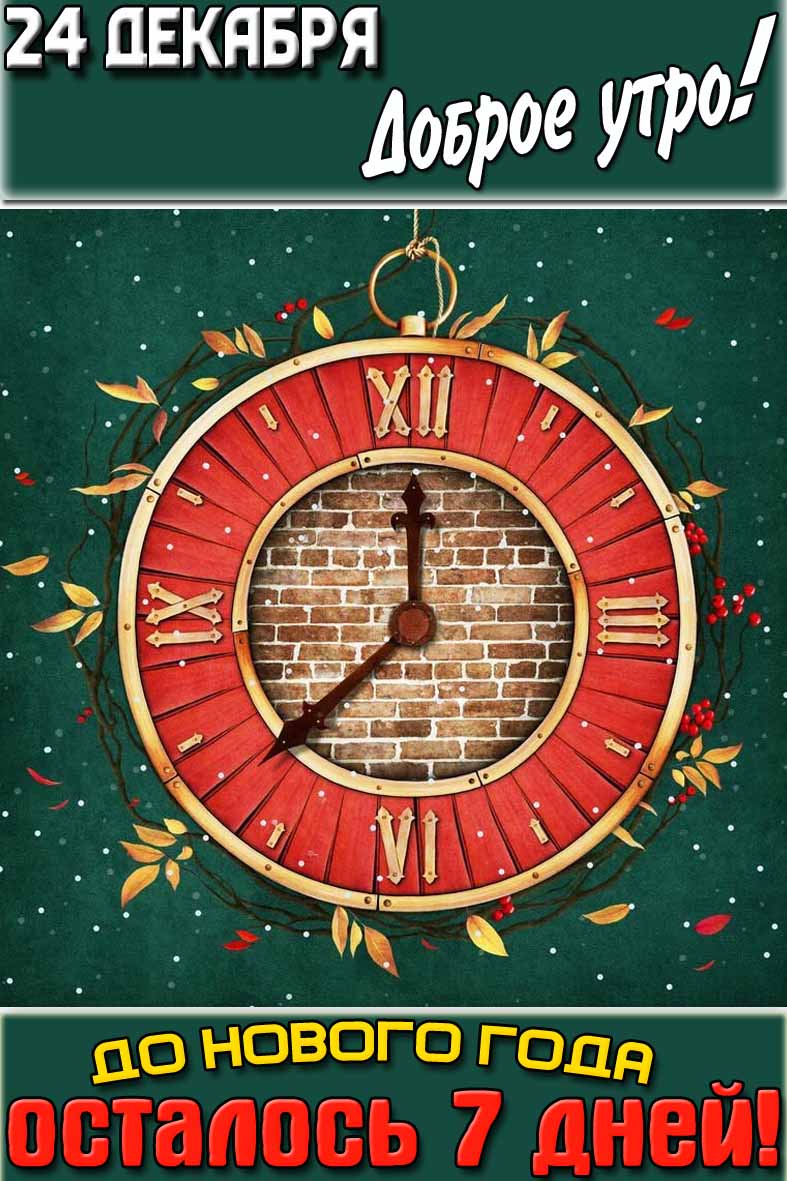 �������� "24 ������� ������ ����! �� ������ ���� �������� 7 ����!"