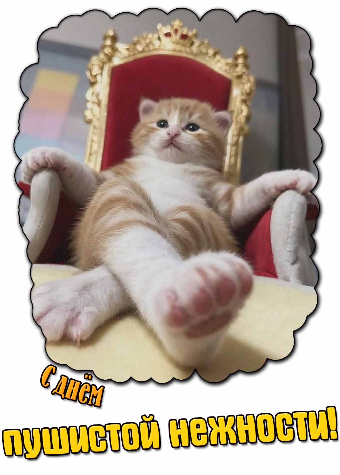 Прикольная открытка с днём пушистой нежности